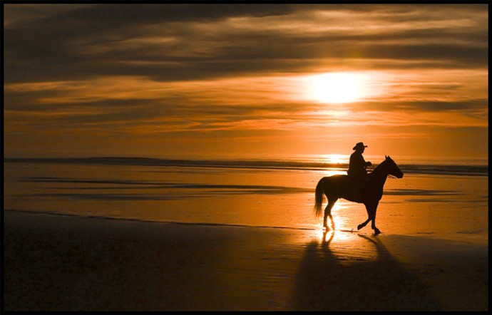 Sunset Cowboy